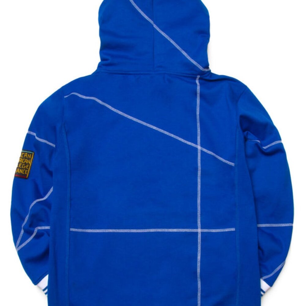 Hampton University Hoodie Retro HBCU Pride AACA Sweatshirt Alumni Gear - Picture 2 of 9